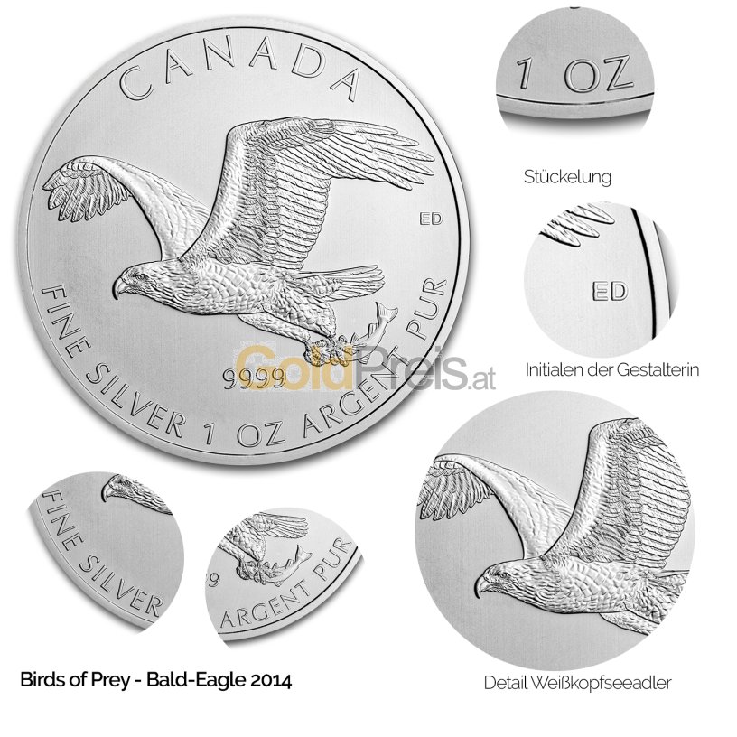 Details der Silbermünze Birds of Prey: Bald Eagle