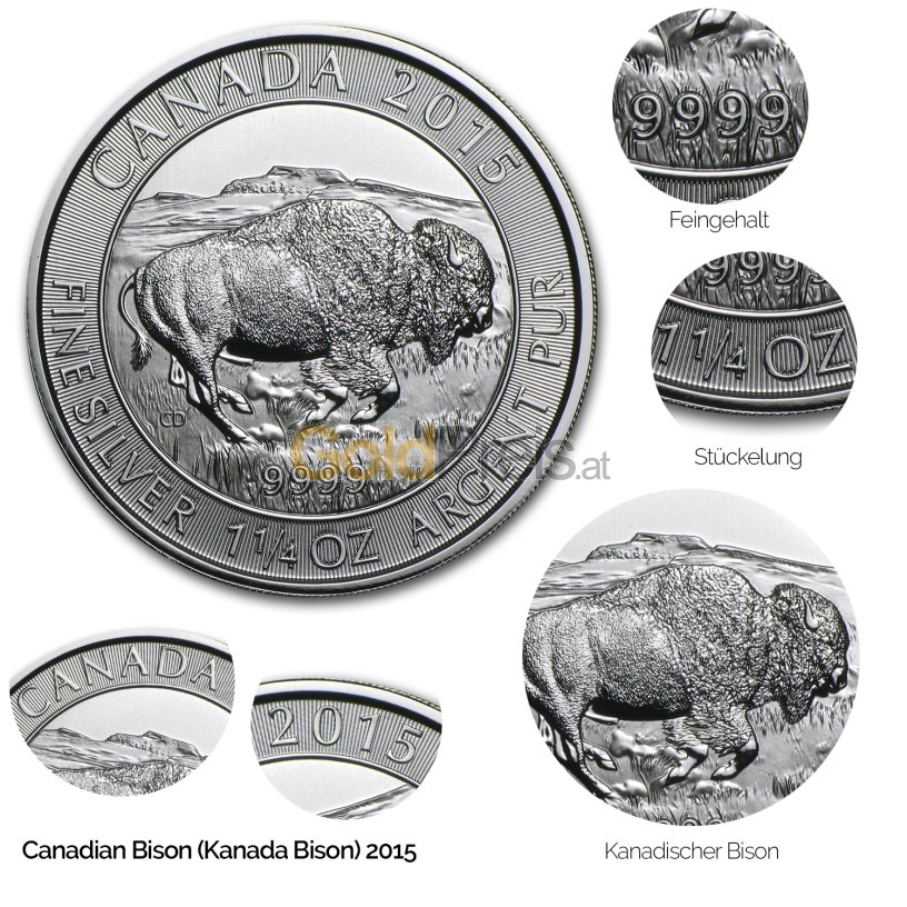 Silbermünze Canadian Bison 2015 - Details des Revers