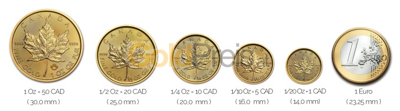 Größenvergleich Maple Leaf Goldmünze mit 1 Euro-Stück