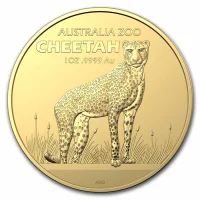 Cheetah (2021)
