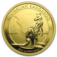 Australian Kangaroo 2016