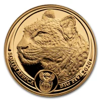 Big Five - Leopard 2020