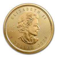 Maple Leaf Goldmünzen kaufen - Preisvergleich