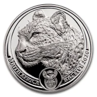 Big Five - Leopard 2020