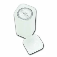 Känguru (Perth Mint) Silbermünzen kaufen