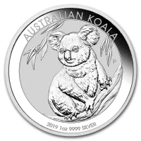 Koala 2019