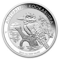 Kookaburra 2019