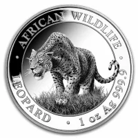 Somalia Leopard Silbermünzen kaufen